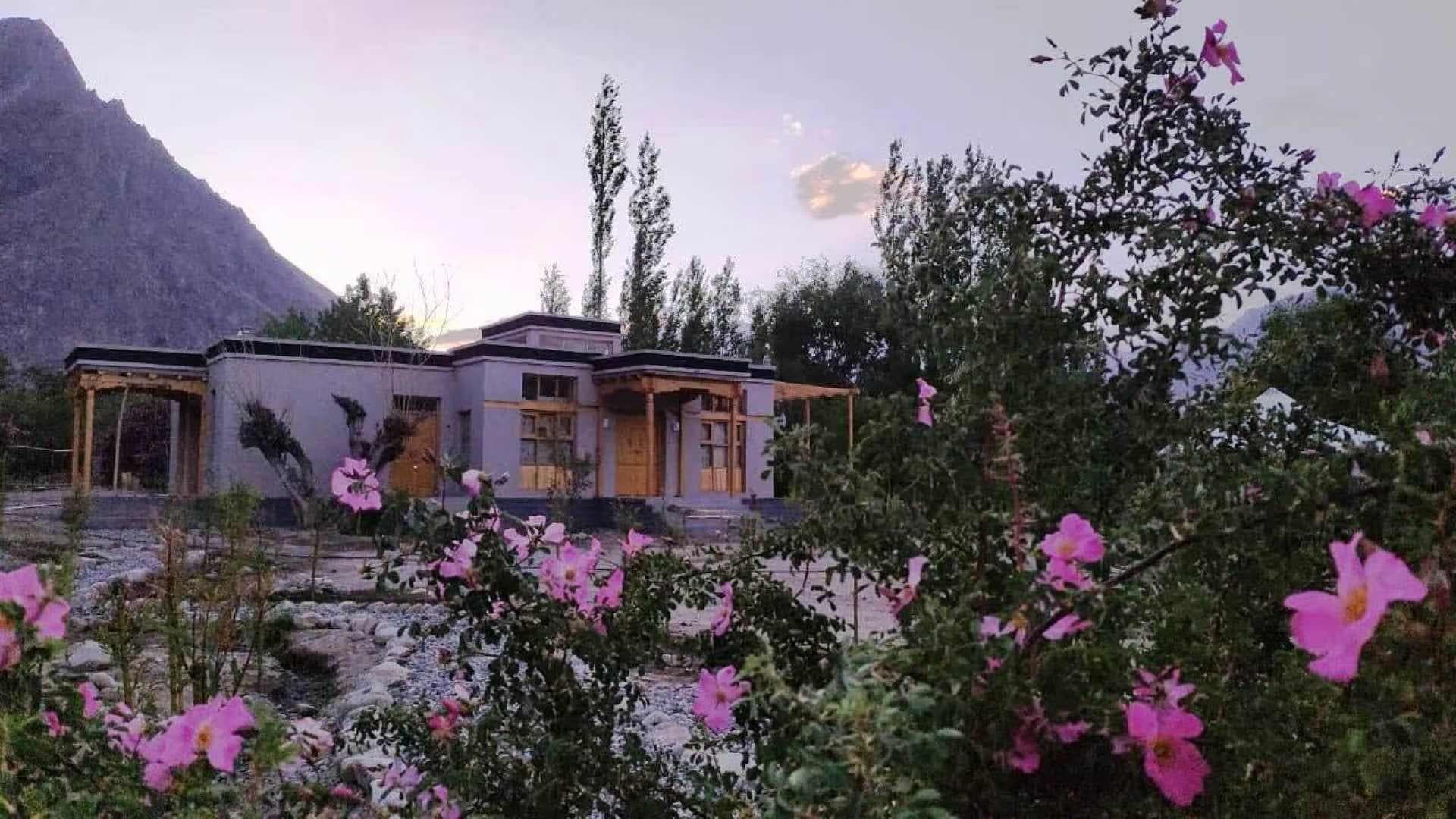 Chalet Seabuckthorn